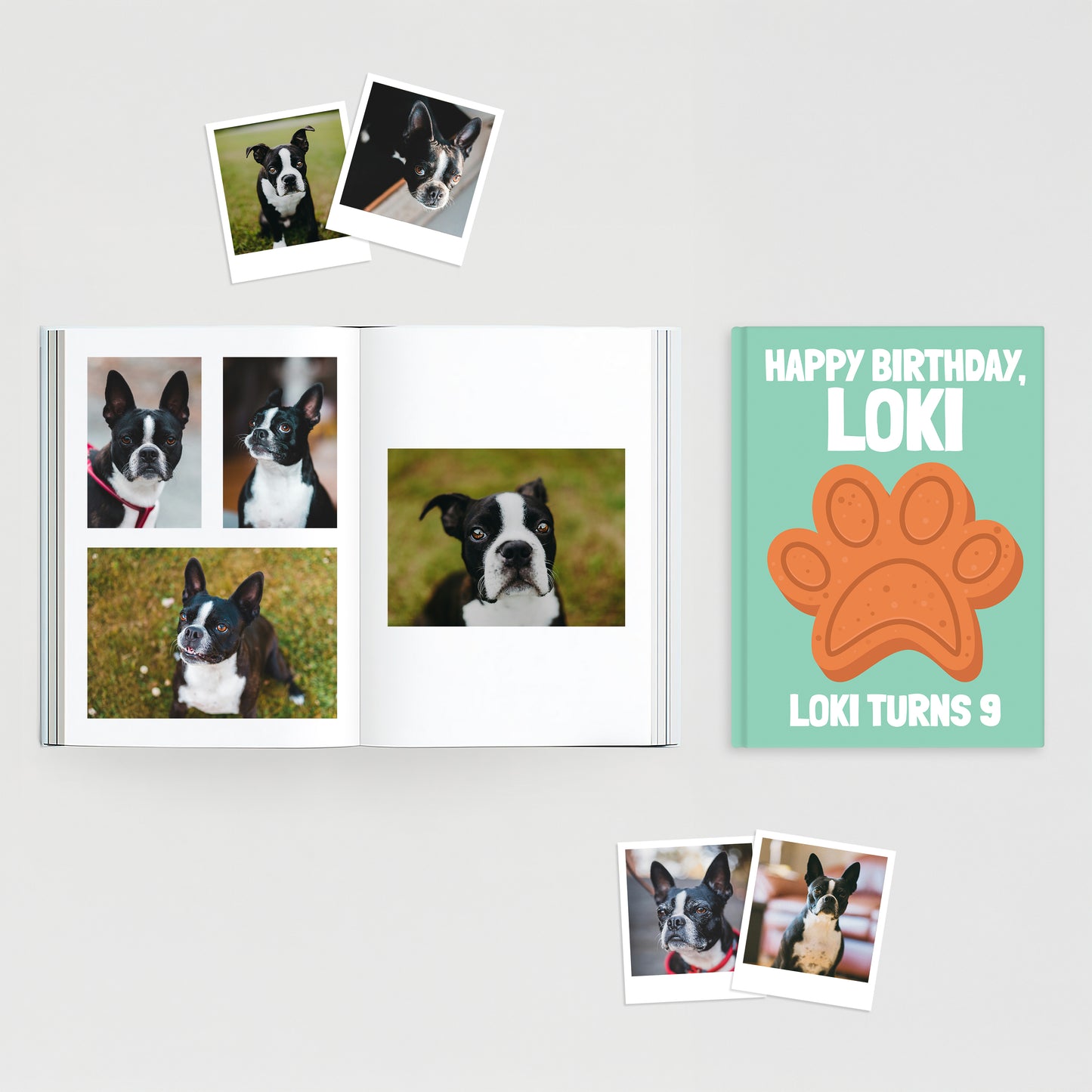 Custom Pet Book