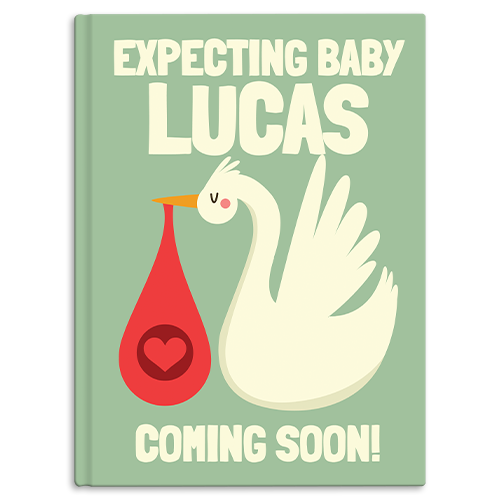 Pregnant - Coming Soon